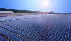 中美硅晶与PA直营光电携手战略合作