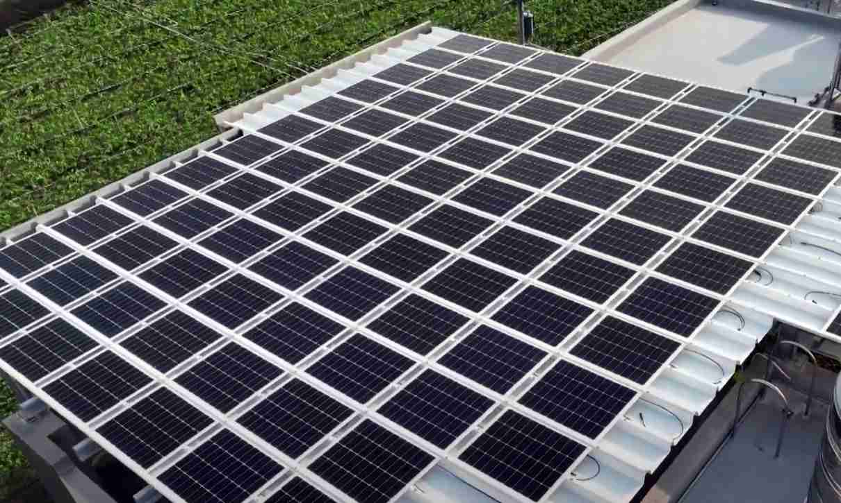 PA直营SunSteel光电浪板升级双玻结构，，，，以提升机械负载强度及气候耐候度，，，可广泛运用于多元场域